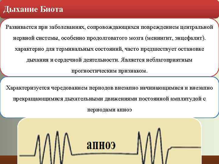 Дыхание Биота Развивается при заболеваниях, сопровождающихся повреждением центральной нервной системы, особенно продолговатого мозга (менингит,