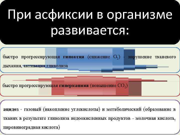 При асфиксии в организме развивается: быстро прогрессирующая гипоксия (снижение О 2) нарушение тканевого дыхания,