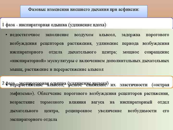 Фазовые изменения внешнего дыхания при асфиксии: 1 фаза инспираториая одышка (удлинение вдоха) • недостаточное