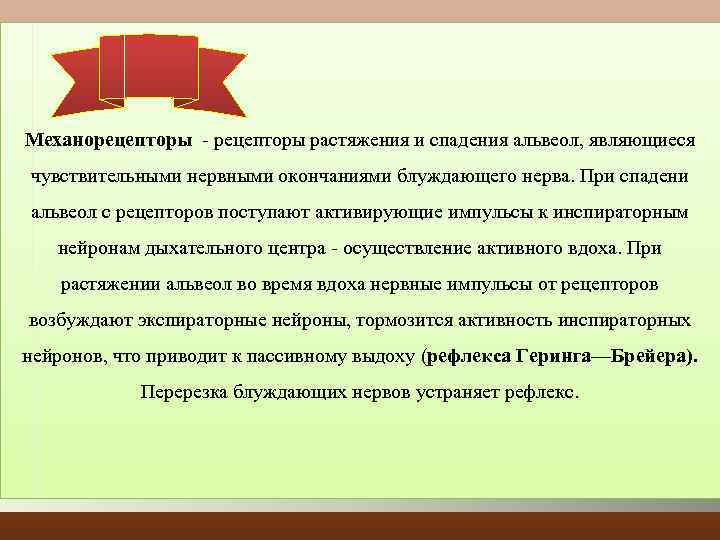 Механорецепторы растяжения и спадения альвеол, являющиеся чувствительными нервными окончаниями блуждающего нерва. При спадени альвеол