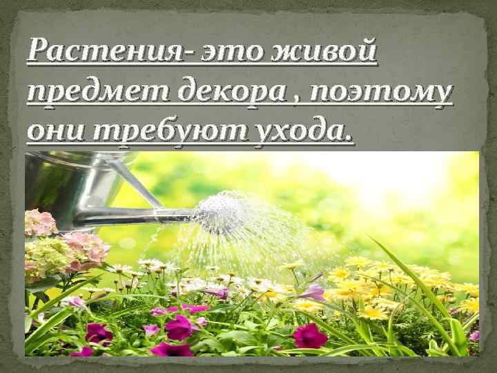 Растения- это живой предмет декора , поэтому они требуют ухода. 