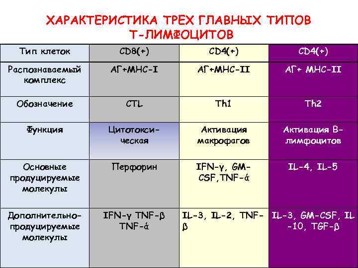 ХАРАКТЕРИСТИКА ТРЕХ ГЛАВНЫХ ТИПОВ Т-ЛИМФОЦИТОВ Тип клеток CD 8(+) CD 4(+) Распознаваемый комплекс АГ+МНС-I