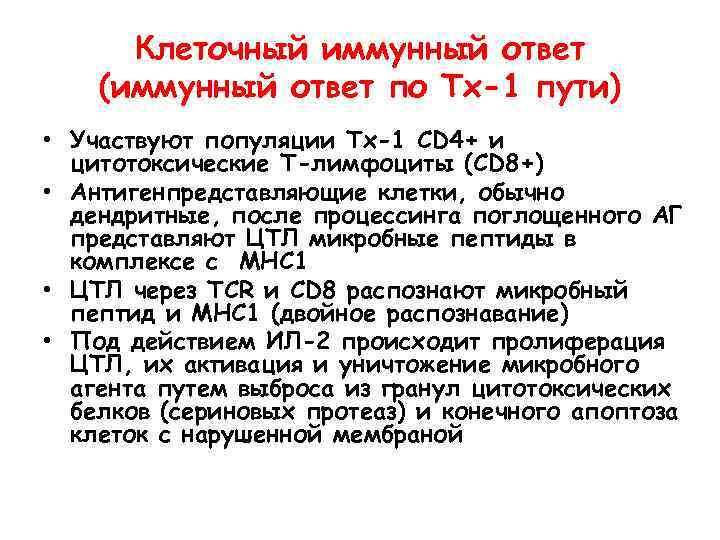 Клеточный иммунный ответ (иммунный ответ по Тх-1 пути) • Участвуют популяции Тх-1 CD 4+