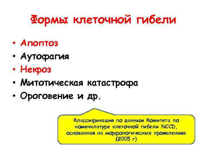 Формы клеточной гибели • • • Апоптоз Аутофагия Некроз Митотическая катастрофа Ороговение и др.