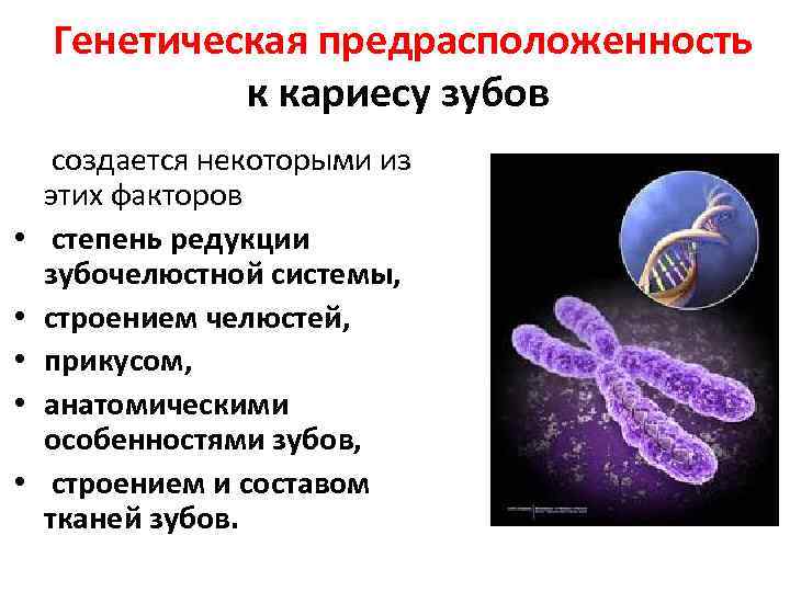 Генетические аспекты кариеса презентация