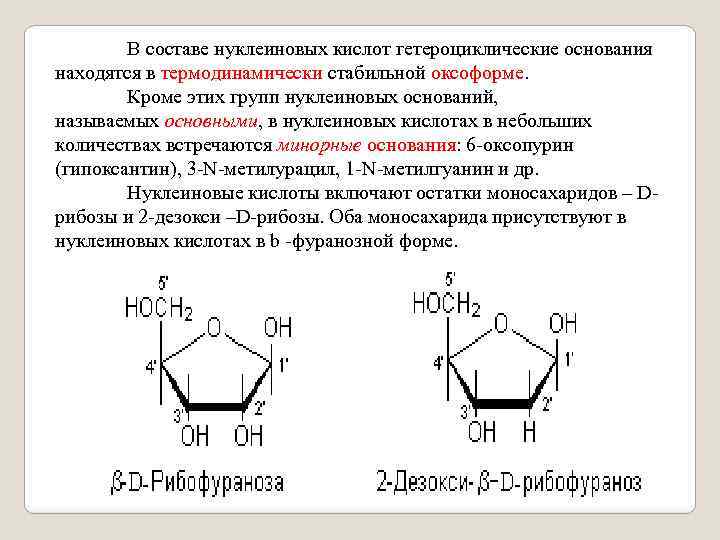В составе нуклеиновых кислот гетероциклические основания находятся в термодинамически стабильной оксоформе. Кроме этих групп