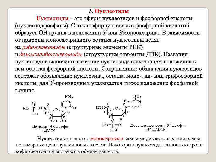 Нуклеотиды список. Полифосфаты нуклеозидов. Полифосфаты нуклеозидов Тип макроэргической связи. Нуклеотид нуклеозид и фосфорная кислота. Фосфорилированные нуклеотиды.