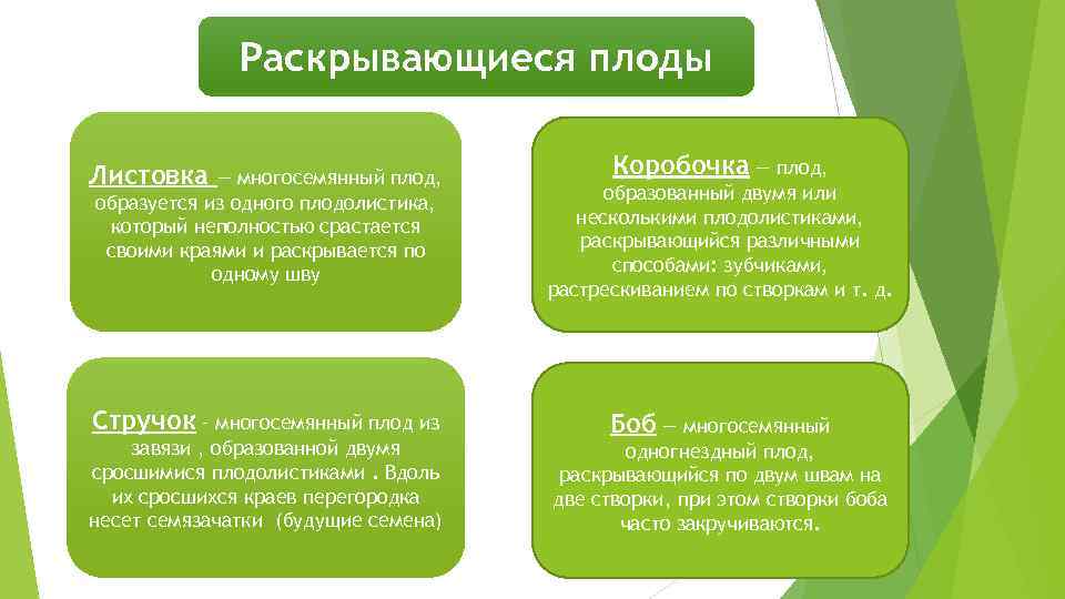 Раскрывающиеся плоды Листовка — многосемянный плод, образуется из одного плодолистика, который неполностью срастается своими