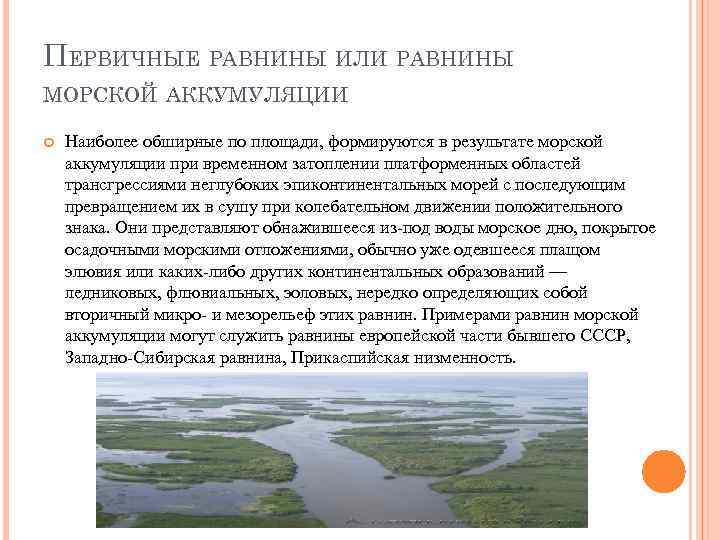 ПЕРВИЧНЫЕ РАВНИНЫ ИЛИ РАВНИНЫ МОРСКОЙ АККУМУЛЯЦИИ Наиболее обширные по площади, формируются в результате морской
