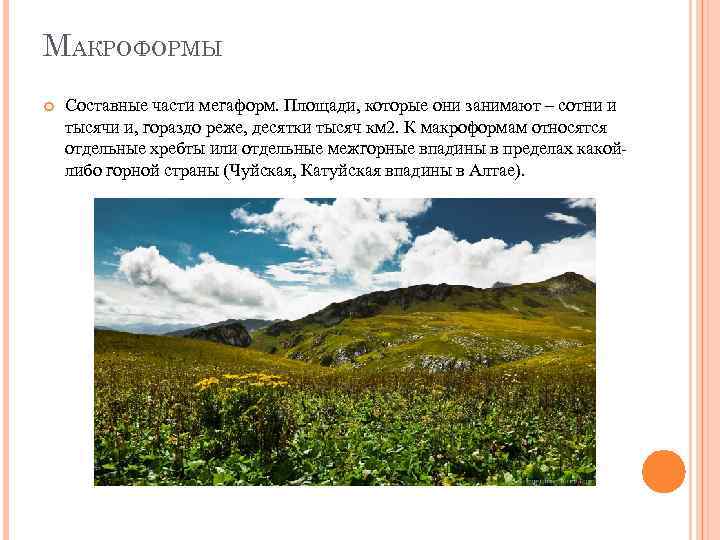 МАКРОФОРМЫ Составные части мегаформ. Площади, которые они занимают – сотни и тысячи и, гораздо