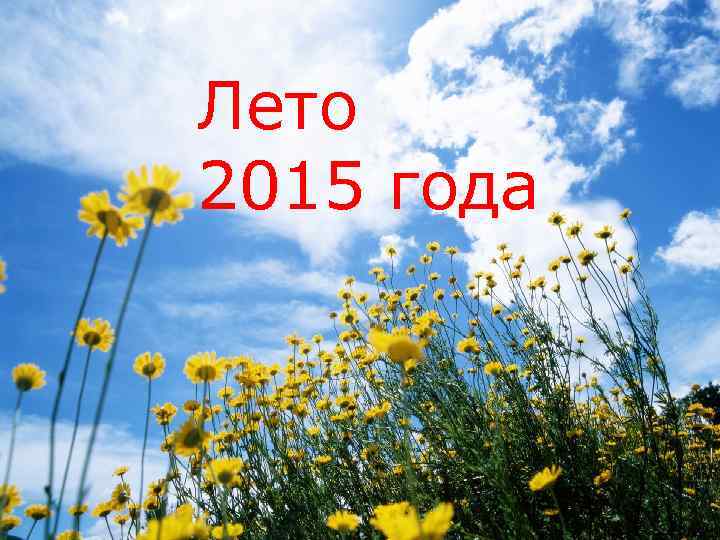 Лето 2015 года 