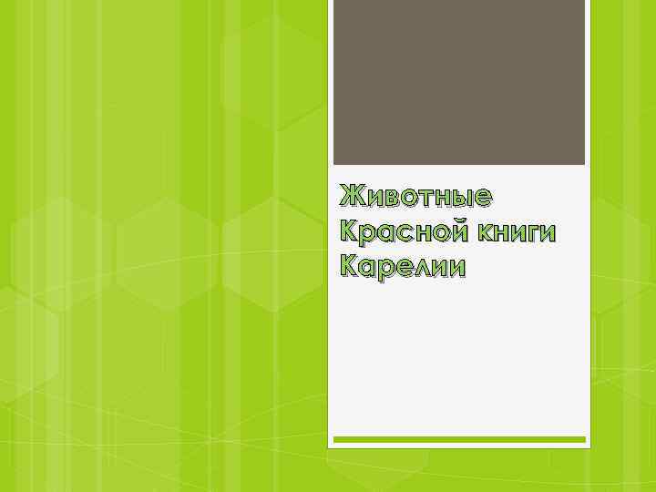 Животные Красной книги Карелии 