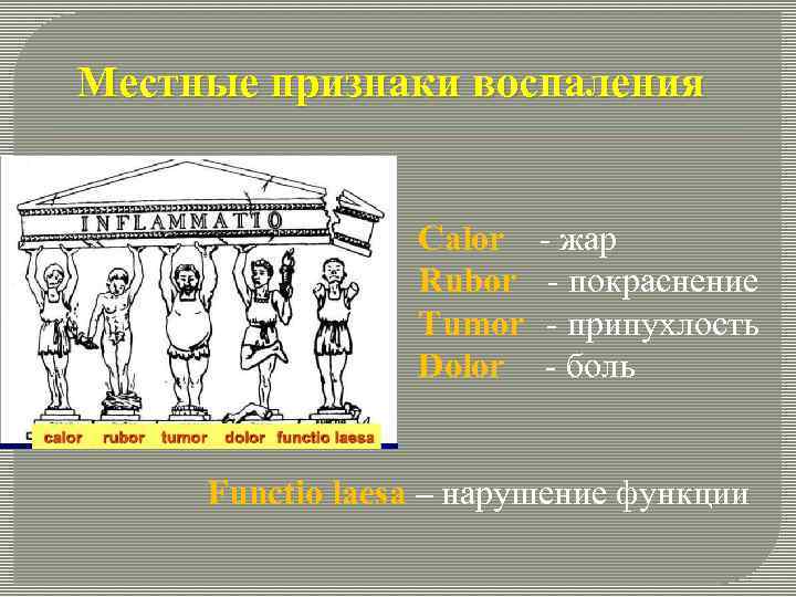 Местные признаки воспаления Calor Rubor Tumor Dolor - жар - покраснение - припухлость -