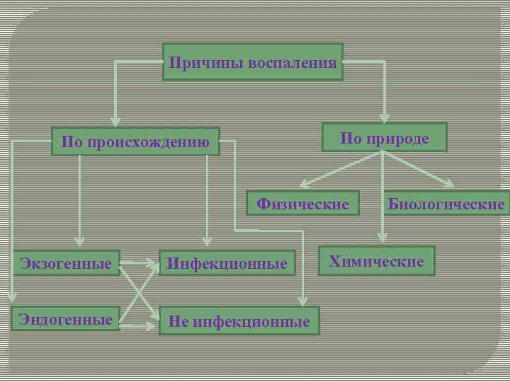 Причины воспаления По природе По происхождению Физические Экзогенные Инфекционные Эндогенные Не инфекционные Биологические Химические