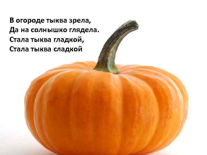 В огороде тыква зрела, Да на солнышко глядела. Стала тыква гладкой, Стала тыква сладкой