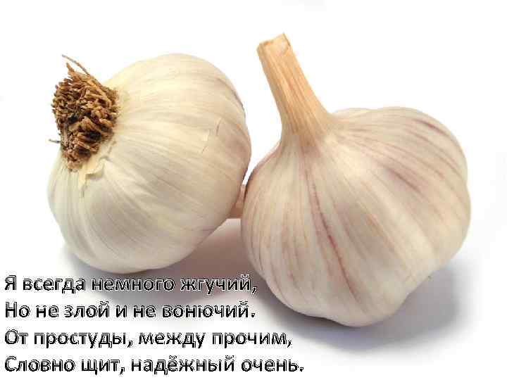 Я всегда немного жгучий, Но не злой и не вонючий. От простуды, между прочим,