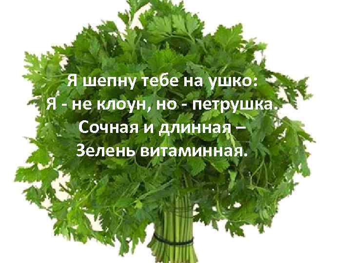 Я шепну тебе на ушко: Я - не клоун, но - петрушка. Сочная и