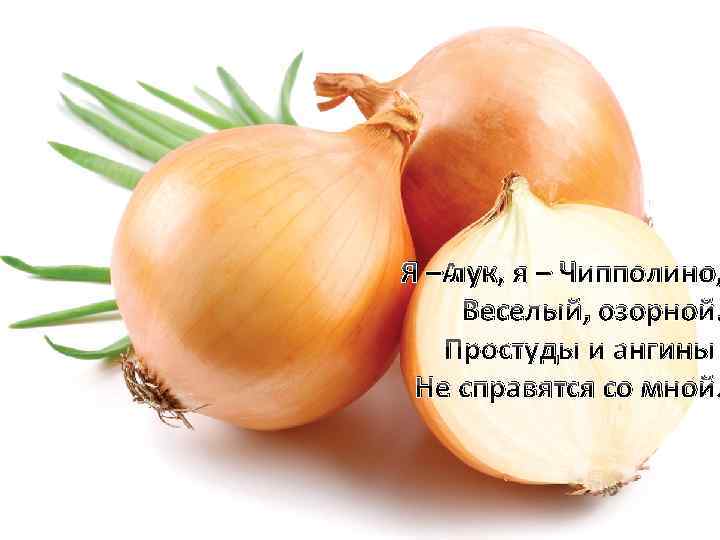 Я – лук, я – Чипполино, Веселый, озорной. Простуды и ангины Не справятся со