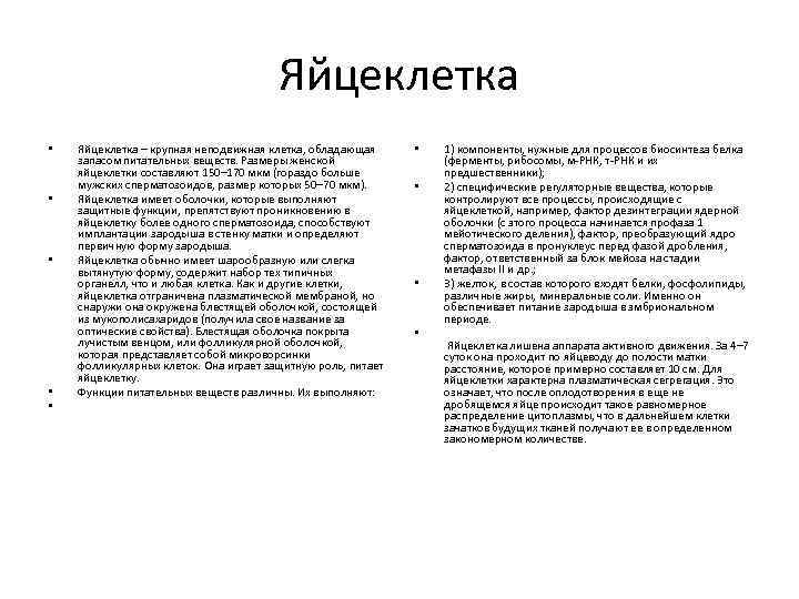 Яйцеклетка • • • Яйцеклетка – крупная неподвижная клетка, обладающая запасом питательных веществ. Размеры