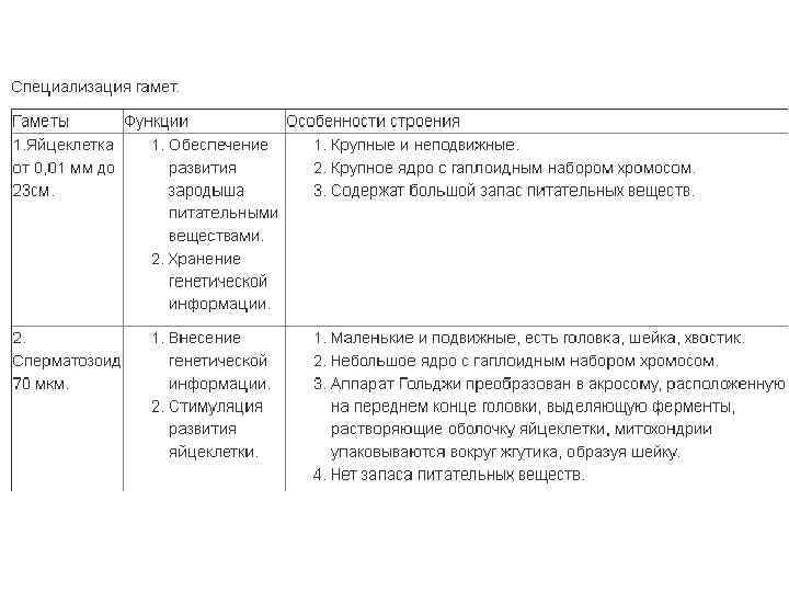 Сравнительная характеристика половых клеток