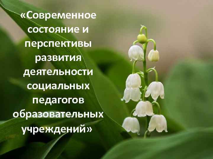  «Современное состояние и перспективы развития деятельности социальных педагогов образовательных учреждений» 