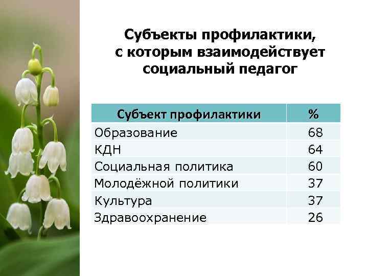 Субъекты профилактики, с которым взаимодействует социальный педагог Субъект профилактики Образование КДН Социальная политика Молодёжной