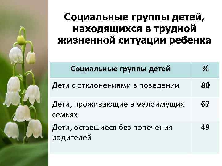 Социальные группы детей, находящихся в трудной жизненной ситуации ребенка Социальные группы детей % Дети