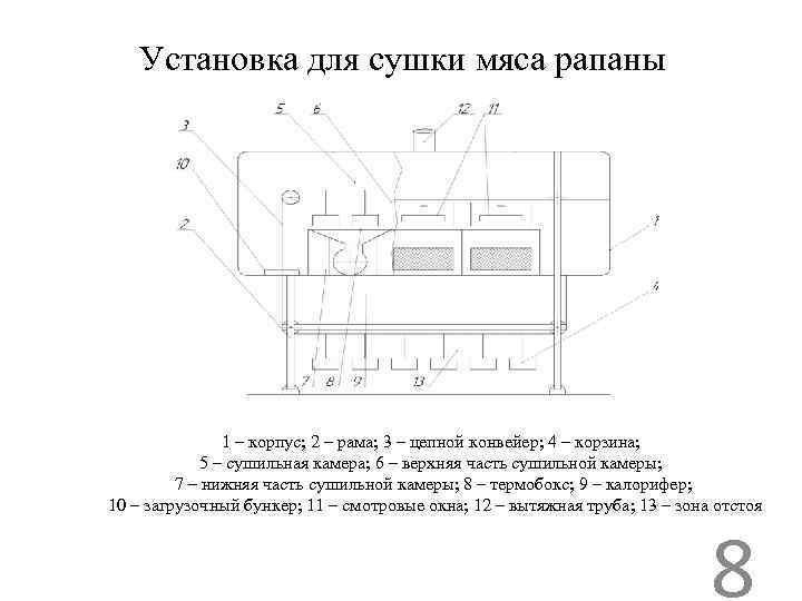 Установка для сушки мяса рапаны 1 – корпус; 2 – рама; 3 – цепной