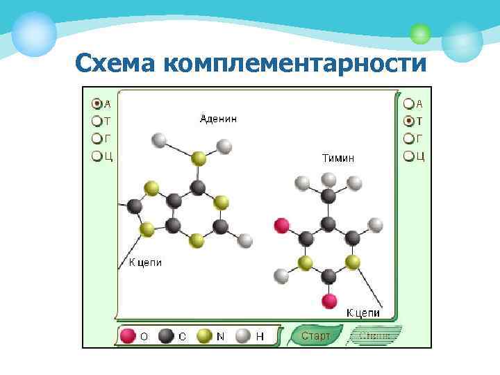 Схема комплементарности 