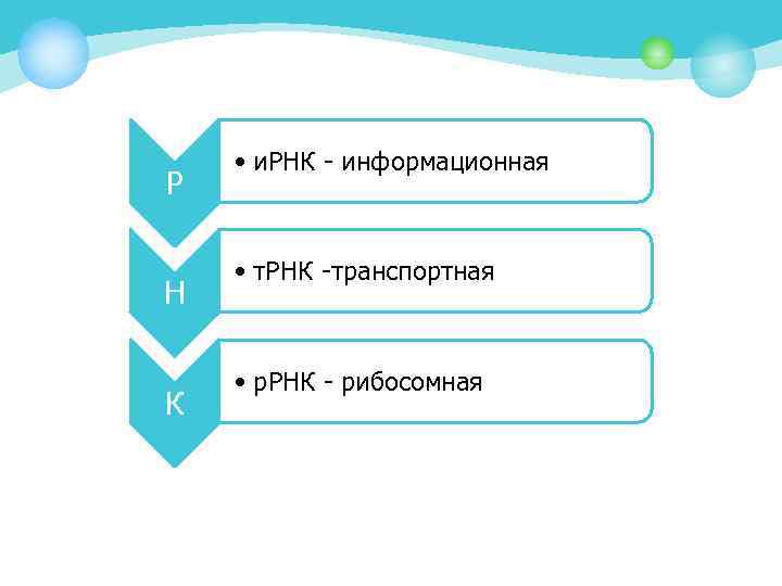 Р Н К • и. РНК - информационная • т. РНК -транспортная • р.