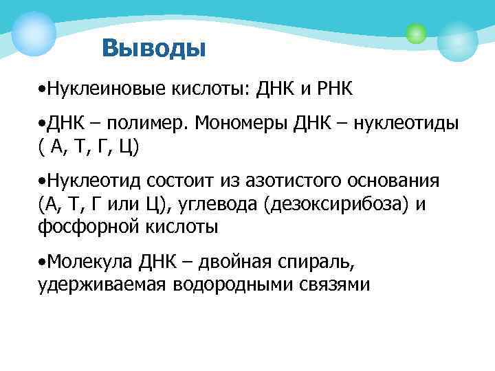 Выводы • Нуклеиновые кислоты: ДНК и РНК • ДНК – полимер. Мономеры ДНК –