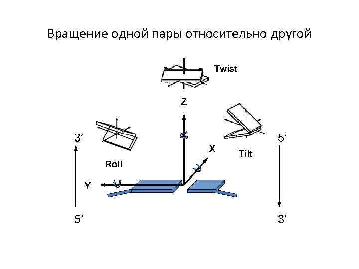 Вращение одной пары относительно другой Twist Z 3’ X 5’ Tilt Roll Y 5’