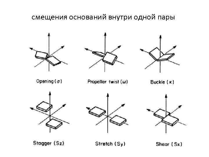 смещения оснований внутри одной пары 