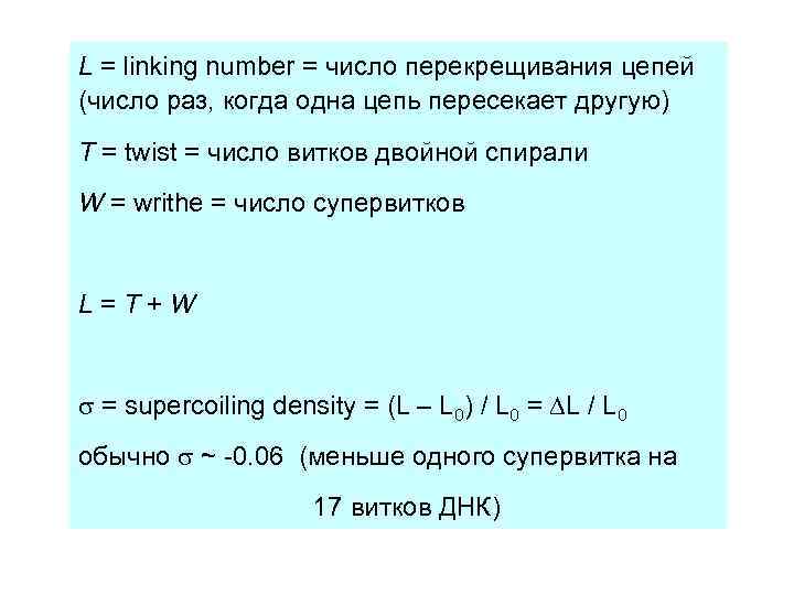 DNA supercoiling L = linking number = число перекрещивания цепей (число раз, когда одна