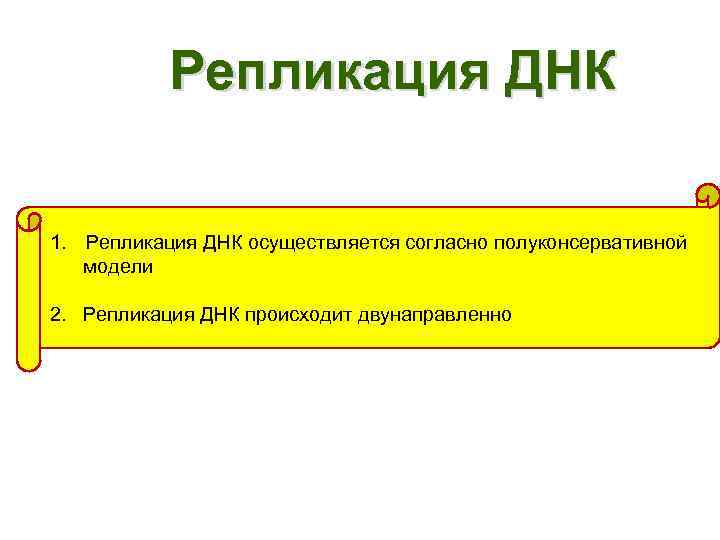 Репликация ДНК 1. Репликация ДНК осуществляется согласно полуконсервативной модели 2. Репликация ДНК происходит двунаправленно