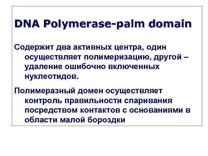 DNA Polymerase-palm domain Содержит два активных центра, один осуществляет полимеризацию, другой – удаление ошибочно