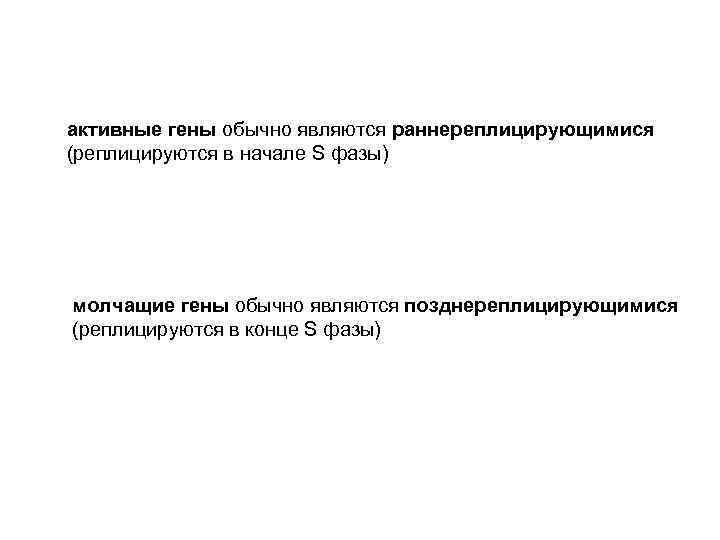 активные гены обычно являются раннереплицирующимися (реплицируются в начале S фазы) молчащие гены обычно являются