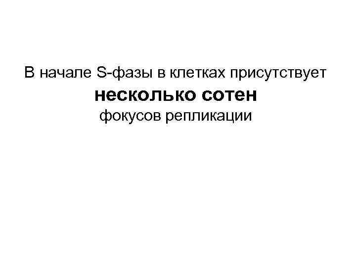 В начале S-фазы в клетках присутствует несколько сотен фокусов репликации 