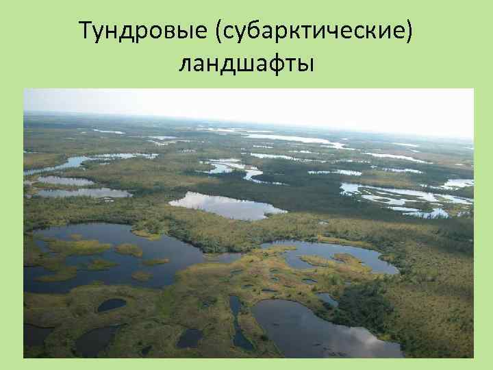 Тундровые (субарктические) ландшафты 