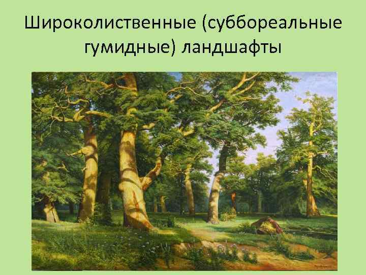 Широколиственные (суббореальные гумидные) ландшафты 