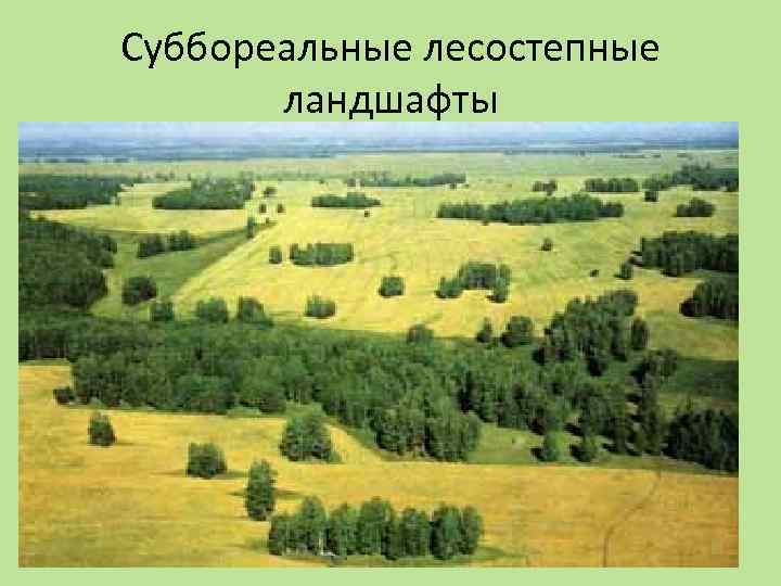 Суббореальные лесостепные ландшафты 
