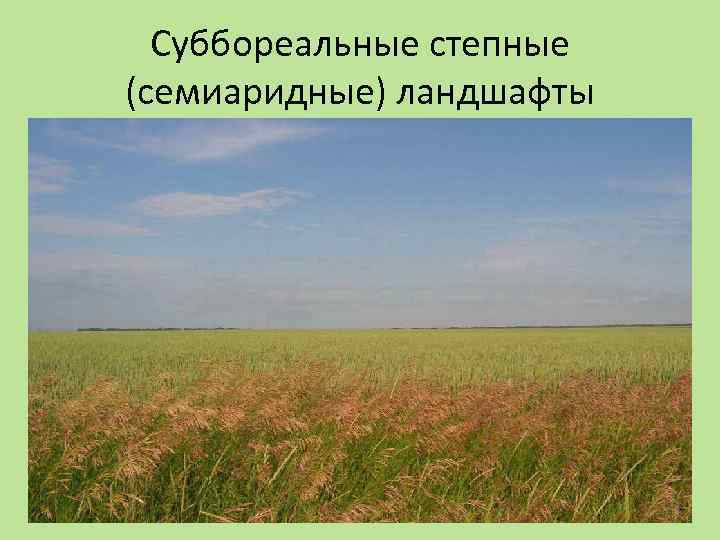 Суббореальные степные (семиаридные) ландшафты 