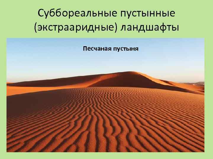 Суббореальные пустынные (экстрааридные) ландшафты Песчаная пустыня 