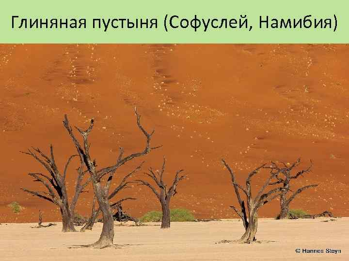 Глиняная пустыня (Софуслей, Намибия) 