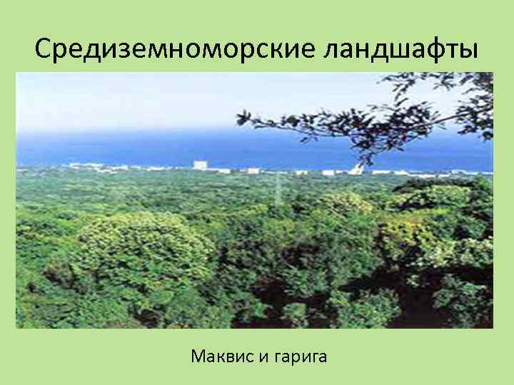Средиземноморские ландшафты Маквис и гарига 