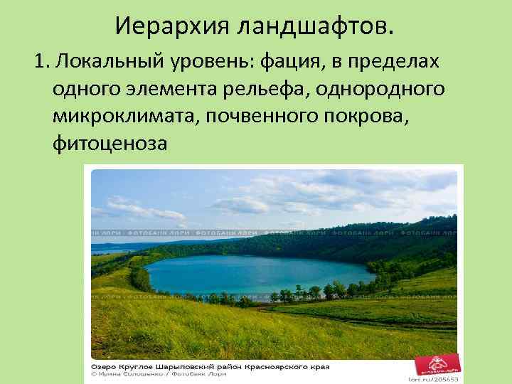 Иерархия ландшафтов. 1. Локальный уровень: фация, в пределах одного элемента рельефа, однородного микроклимата, почвенного
