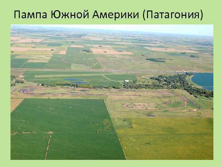 Пампа Южной Америки (Патагония) 