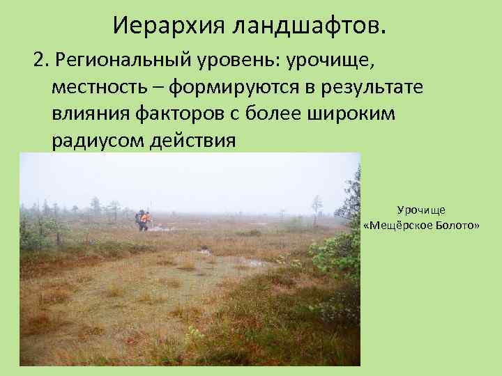 Что такое урочище простыми словами. Урочище это ландшафт. Иерархия ландшафтов. Урочище пример.