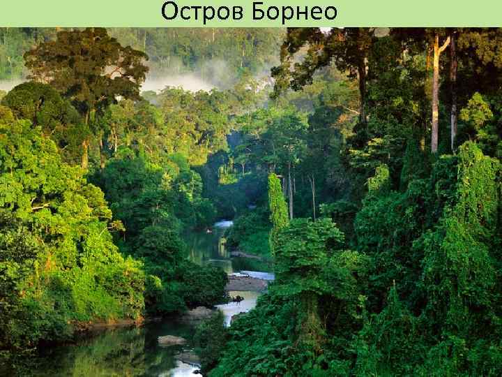 Остров Борнео 