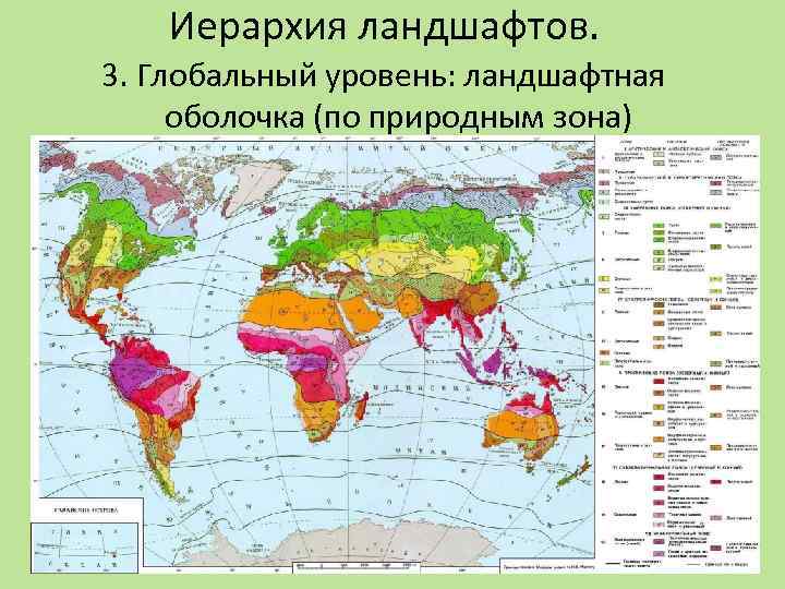 Иерархия ландшафтов. 3. Глобальный уровень: ландшафтная оболочка (по природным зона) 